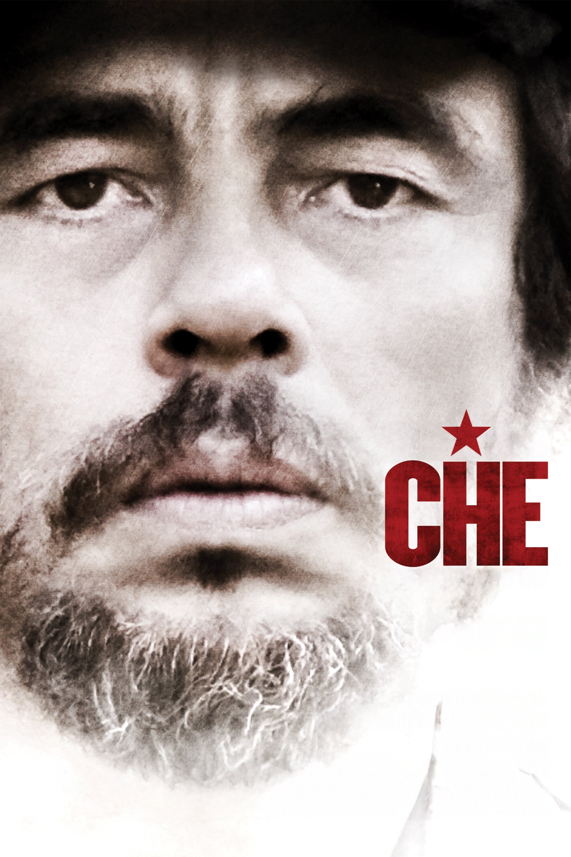 Che: Part Two