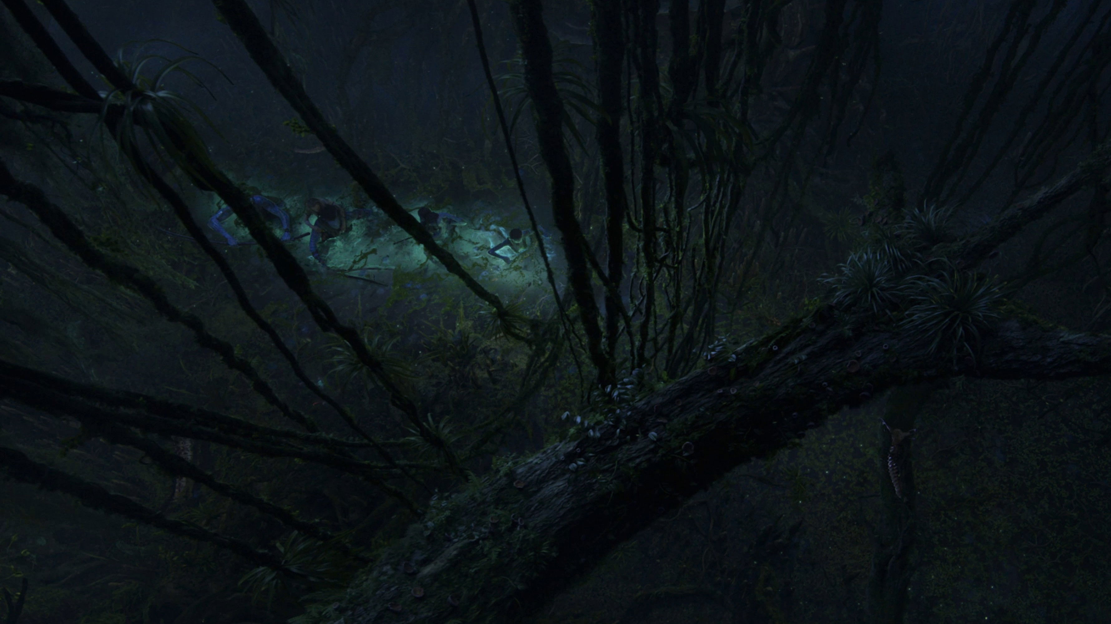 Avatar: Fire and Ash backdrop