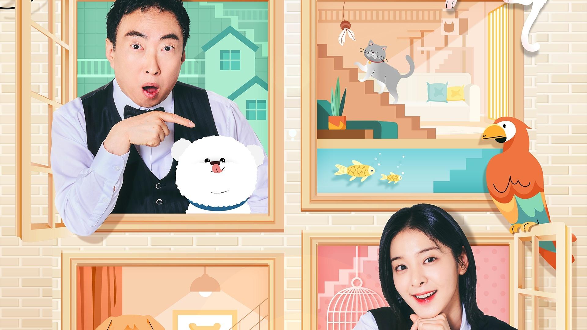 펫대로 하우스 backdrop