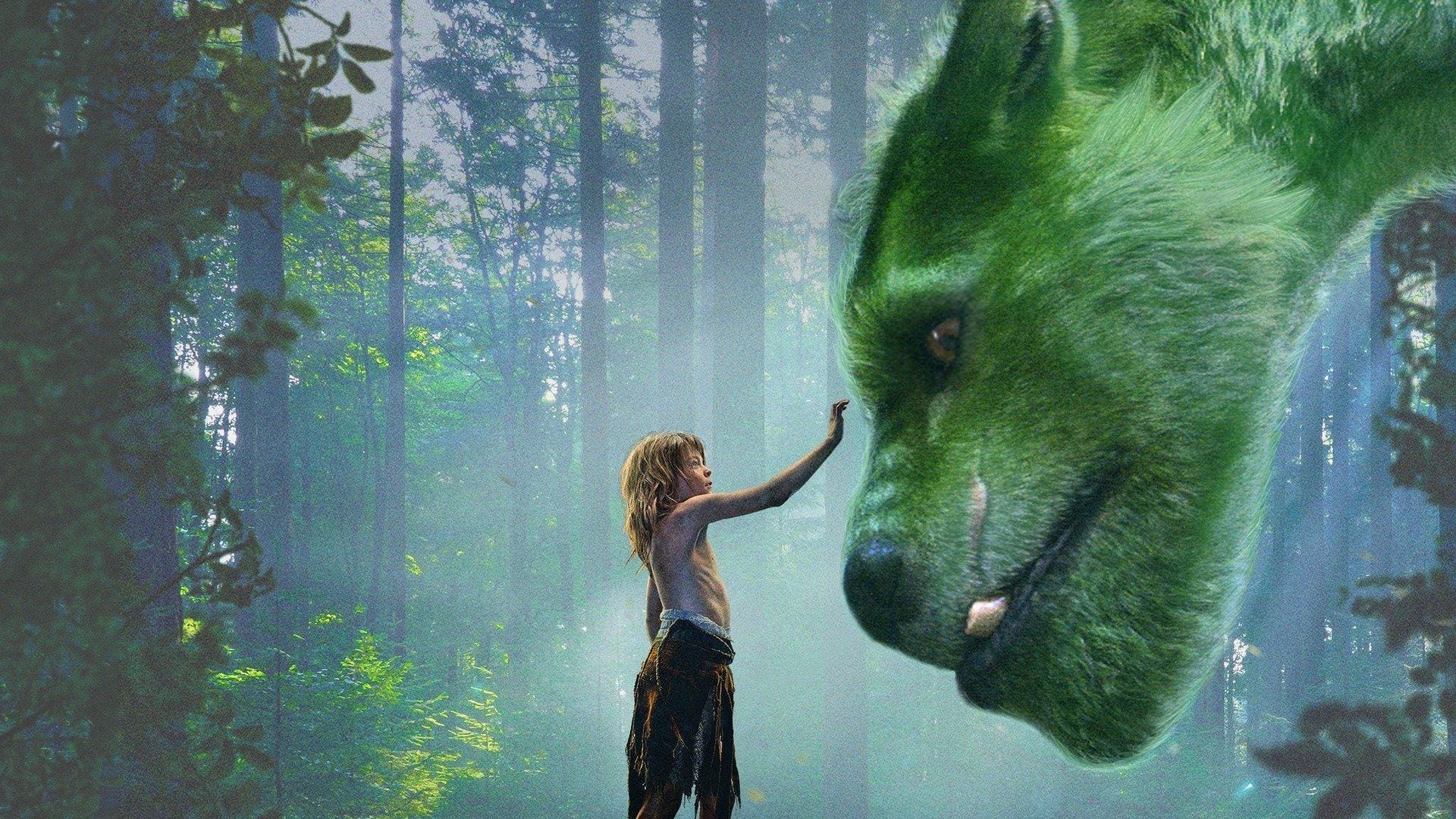 Image du film Peter et Elliott le dragon 4qxpyqwz0izgizskxaoeb4a1kwfjpg