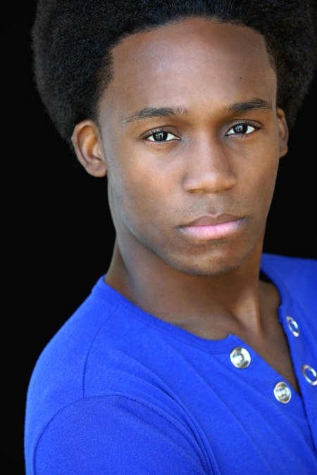 et billede af Dabier