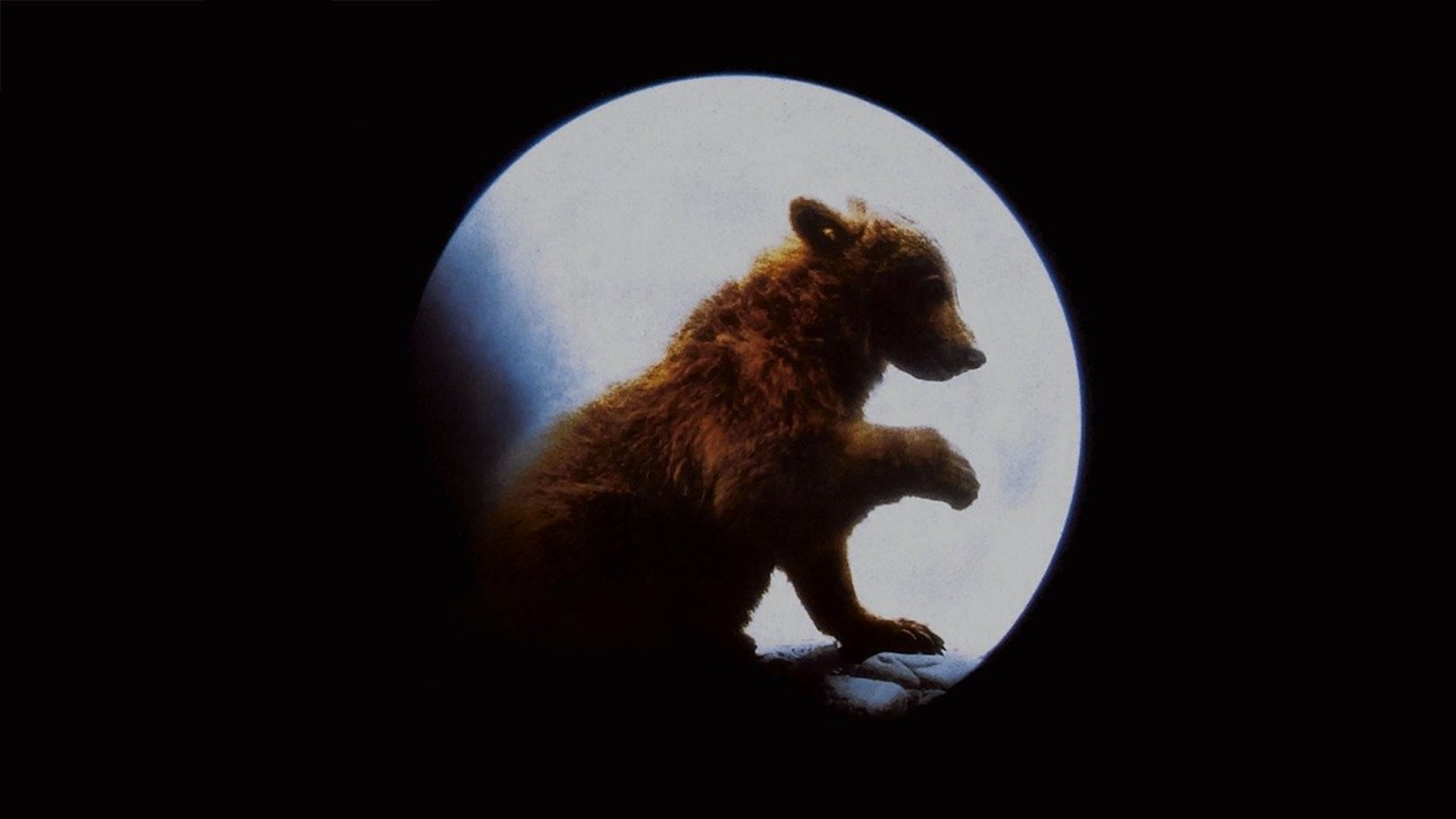 L'orso (1988)