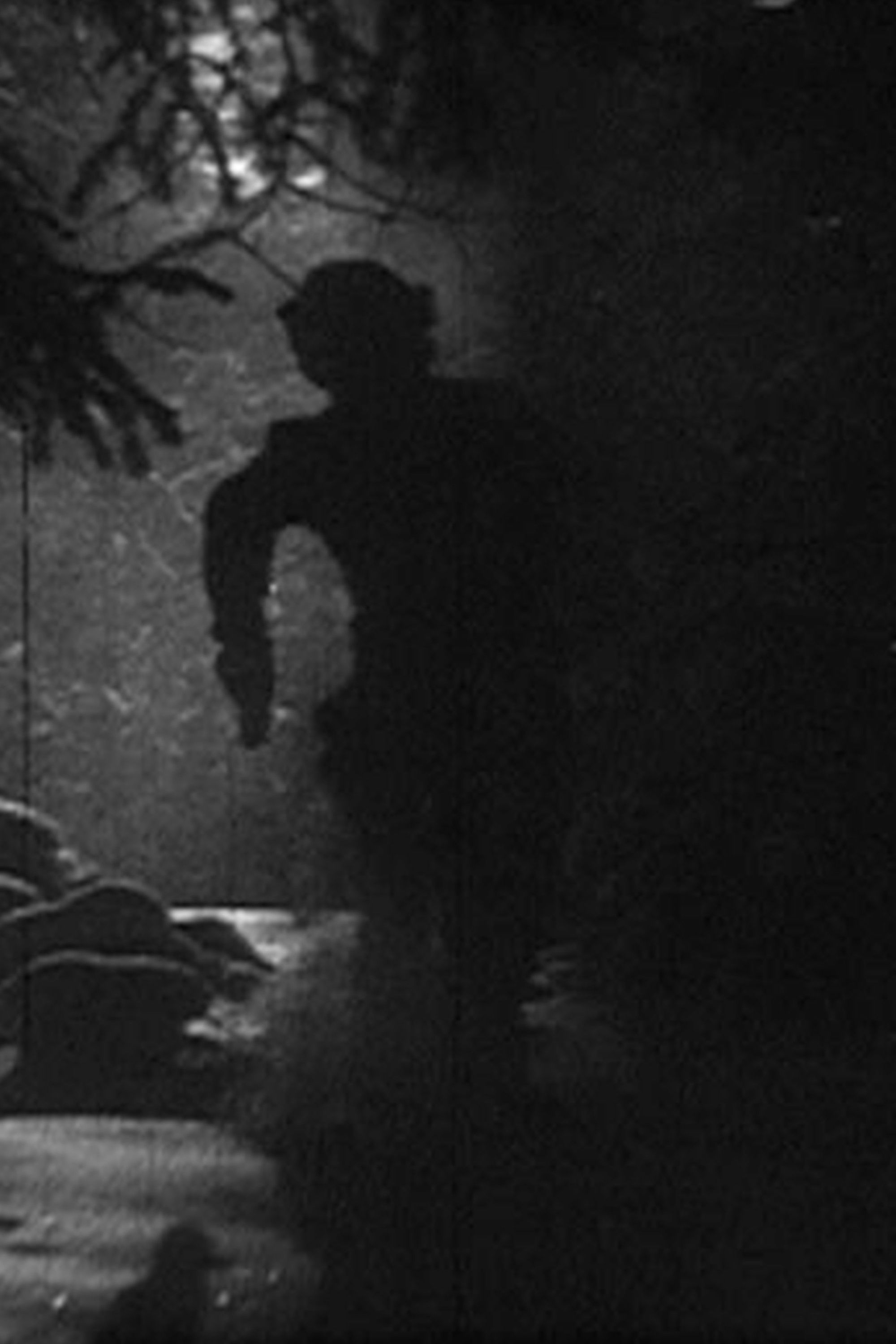 Plakat, der markedsfører 