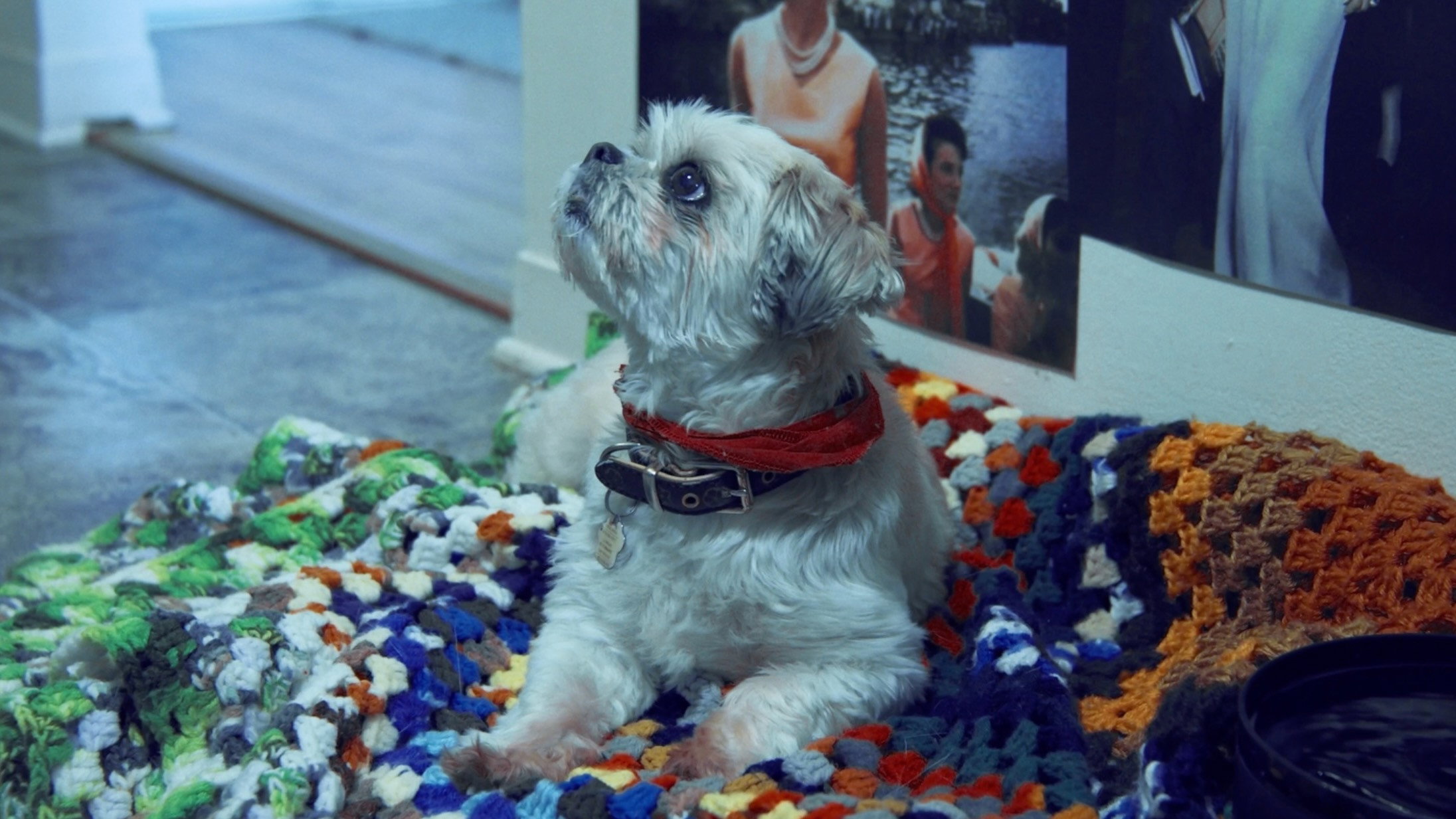 This Winter Might Never End