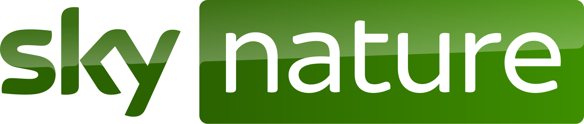network