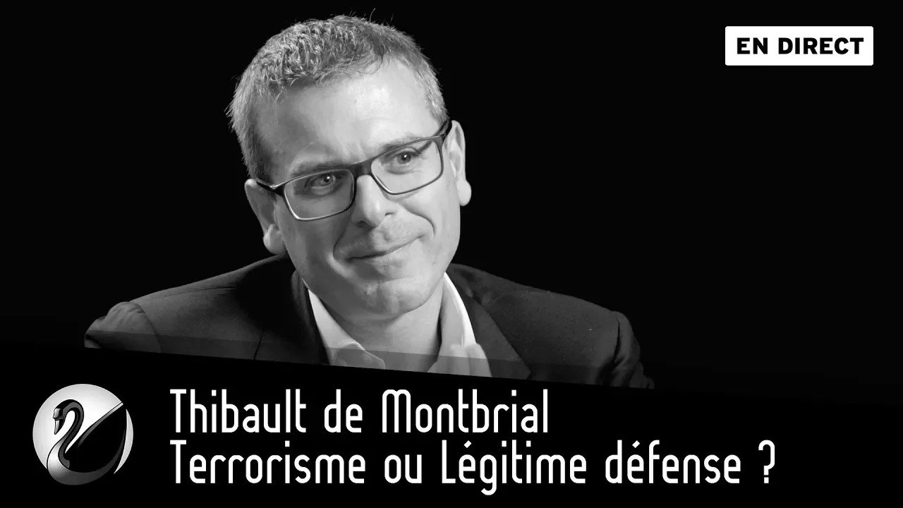 Thinkerview - Terrorisme ou Légitime défense ? Thibault de Montbrial