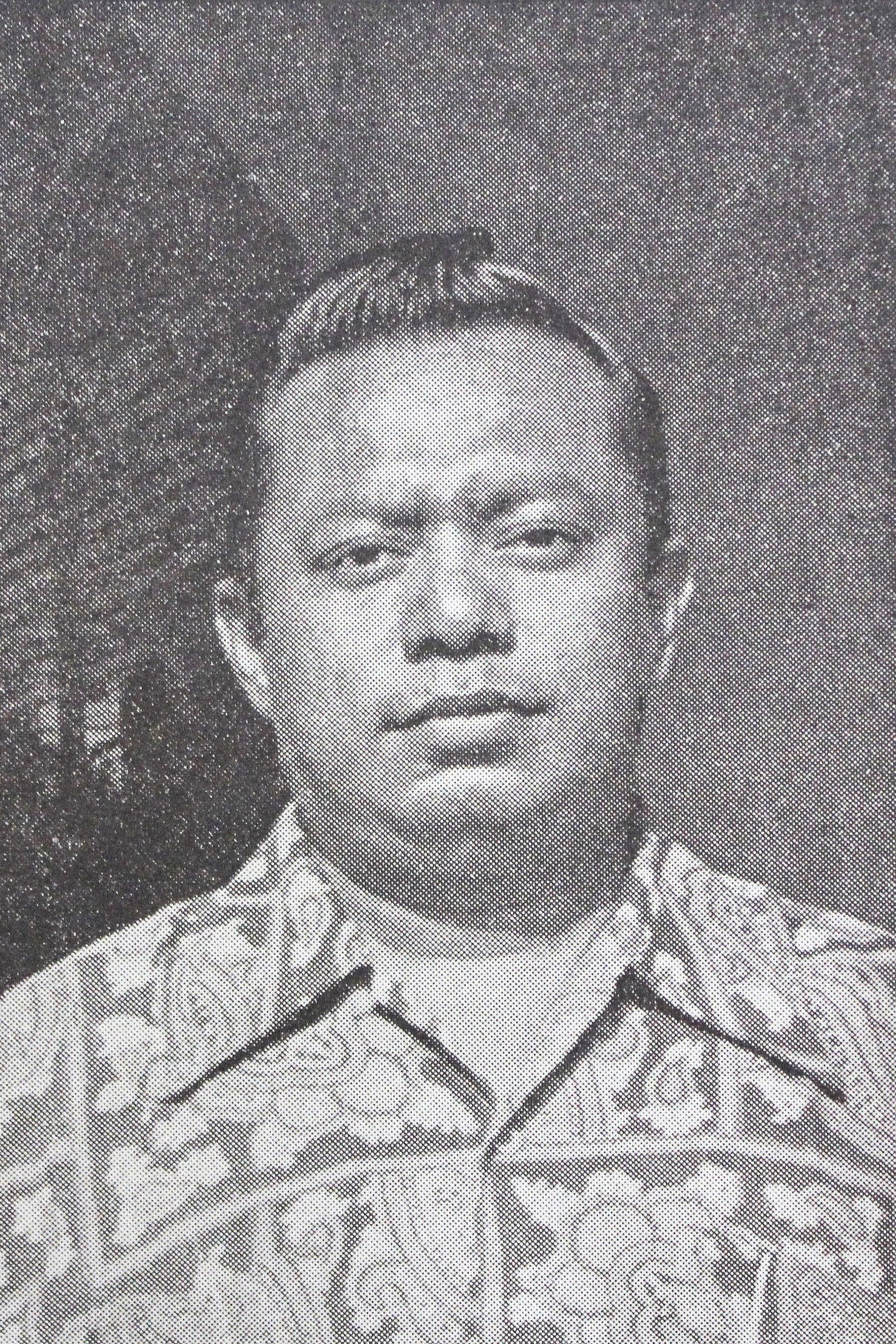 et billede af Boes Boestami