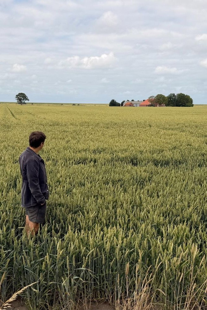 Vaderland: in het spoor van Ede Staal