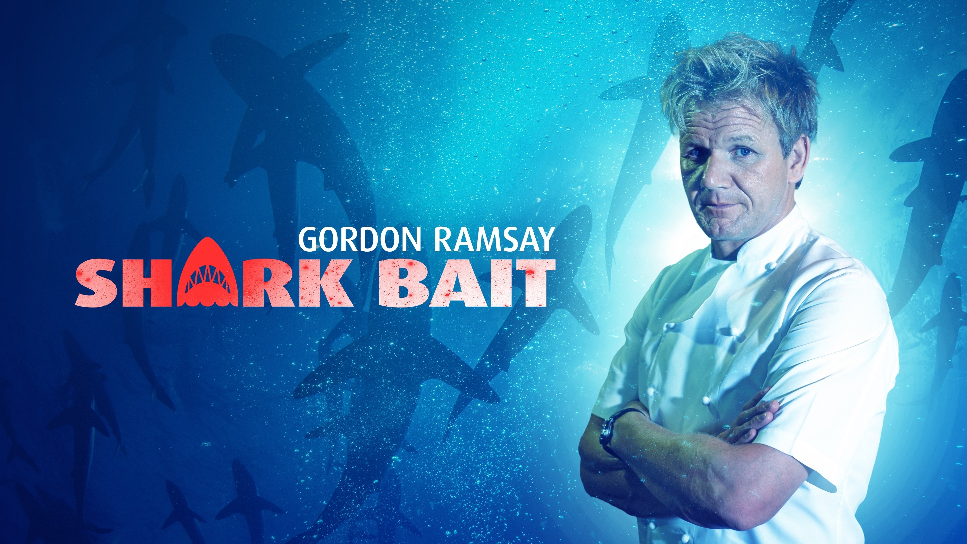 Gordon Ramsay: Shark Bait