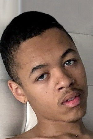 et billede af Persian Prince