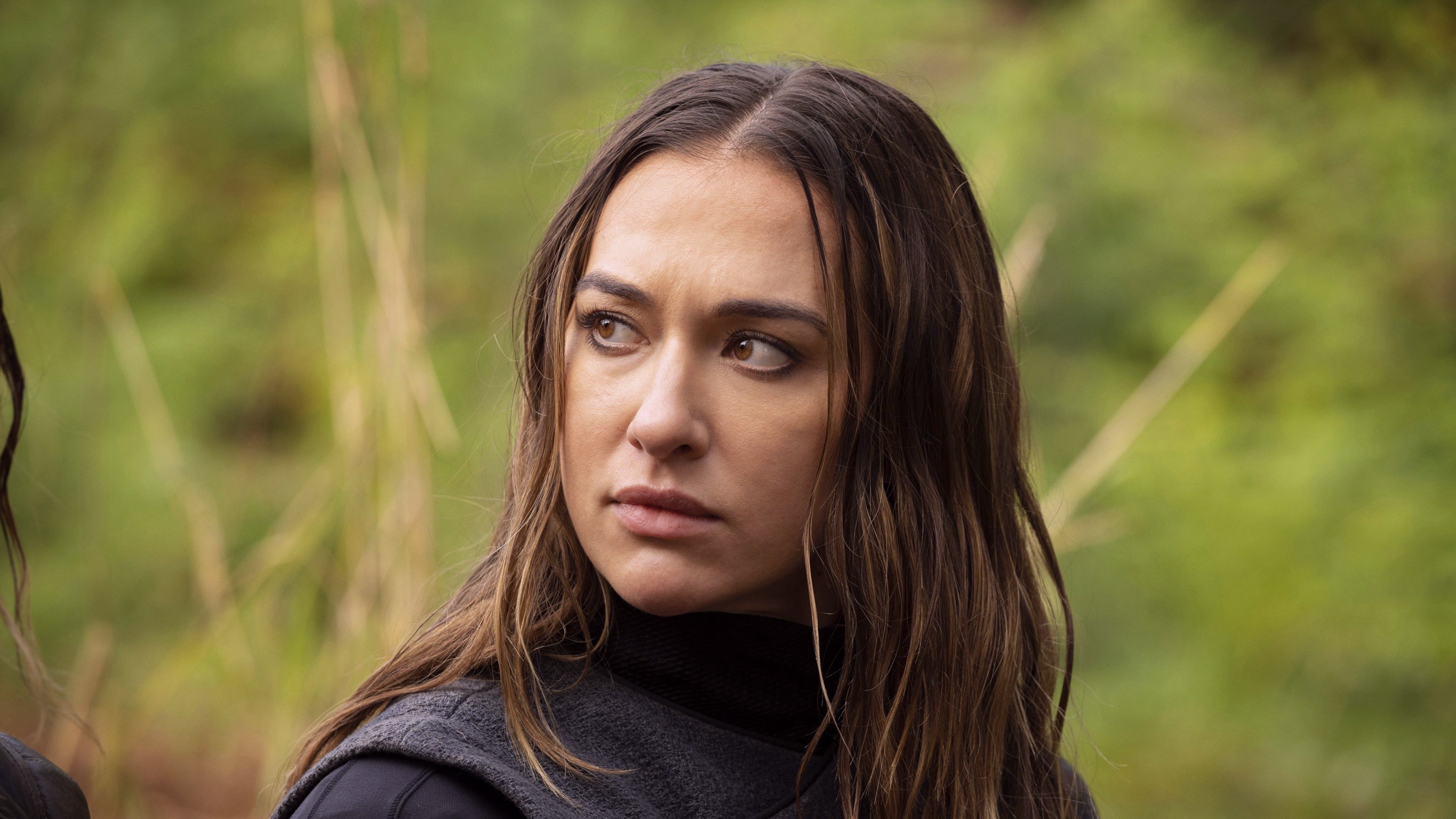 The 100