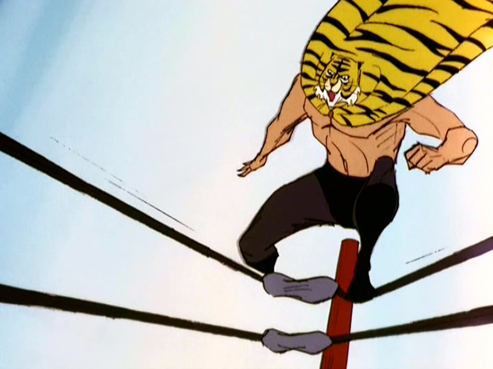 Tiger Mask