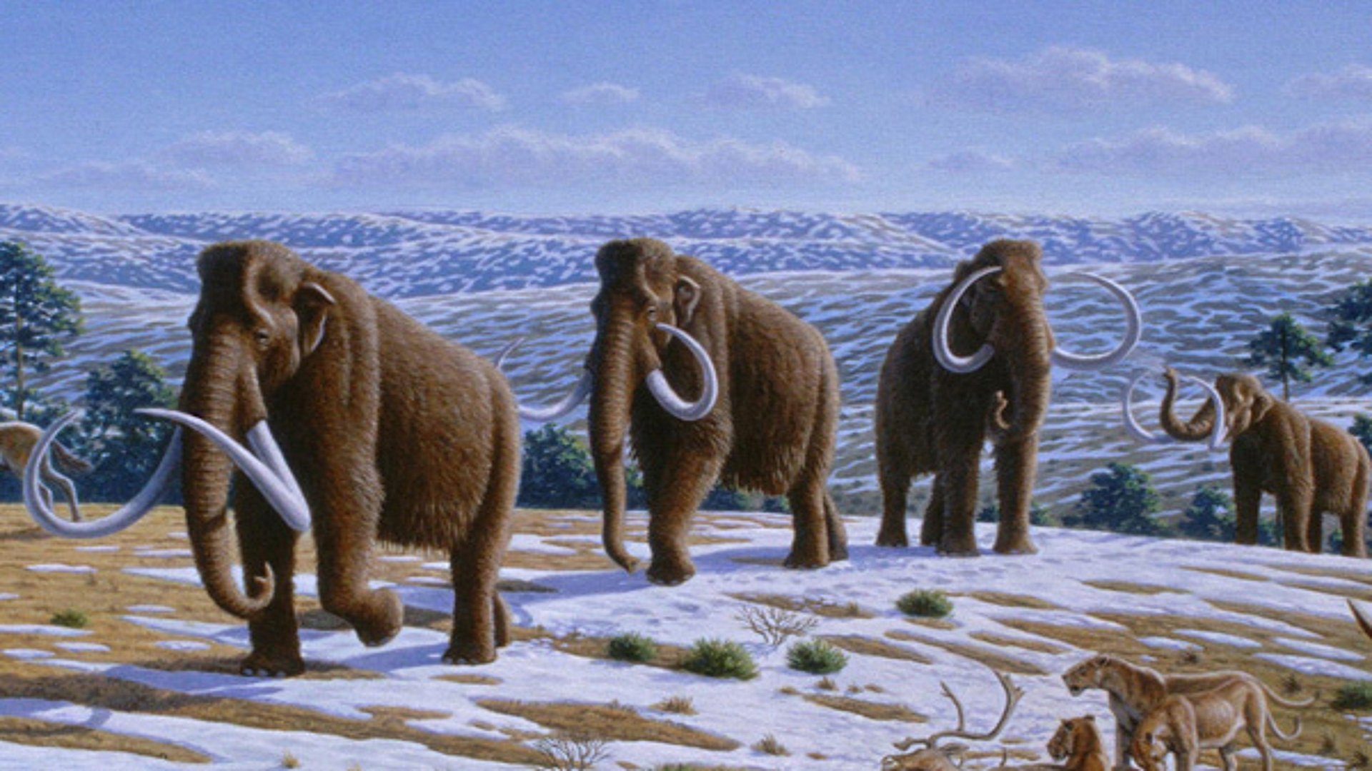 How Climate Made History