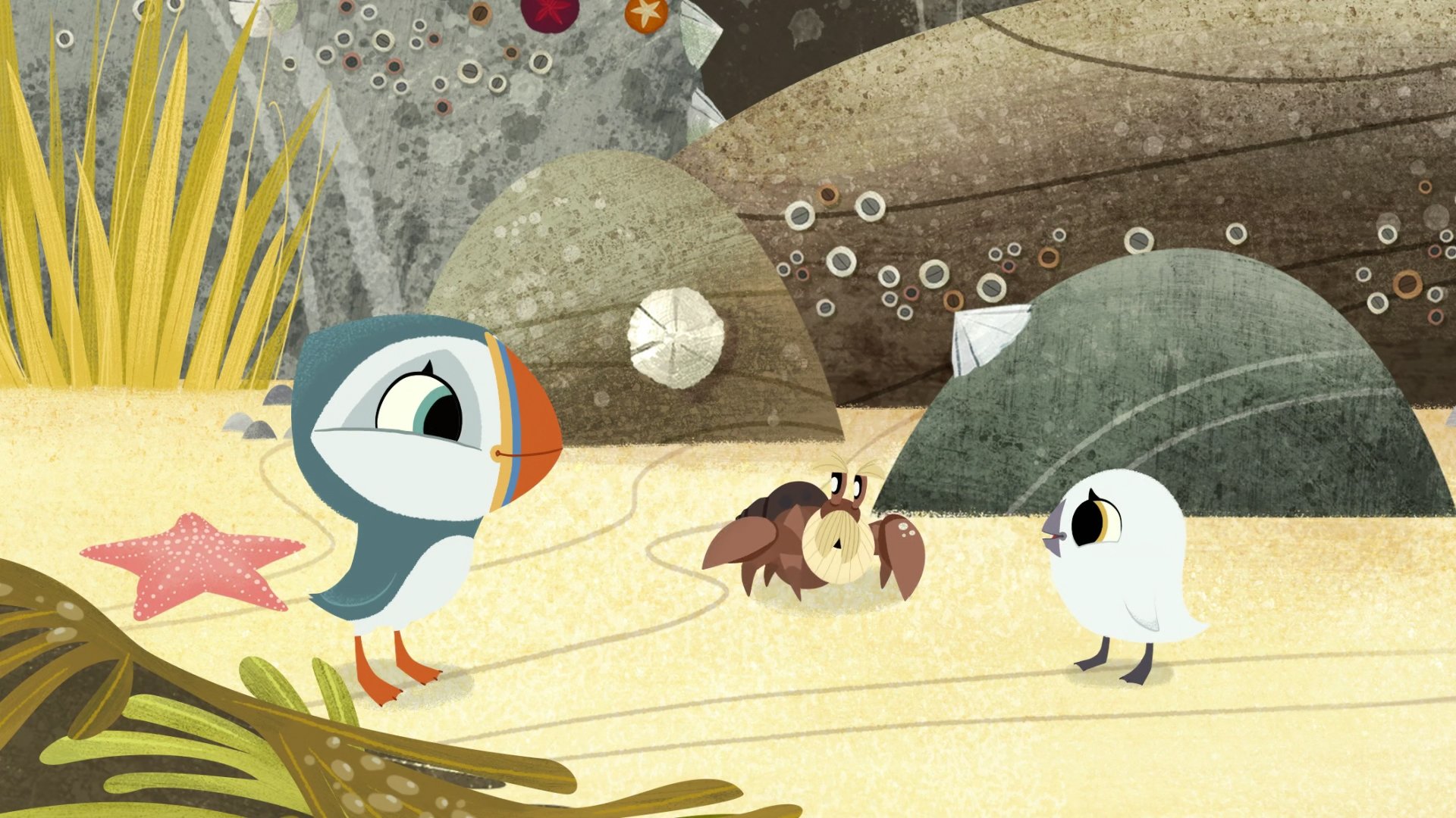 Puffin Rock
