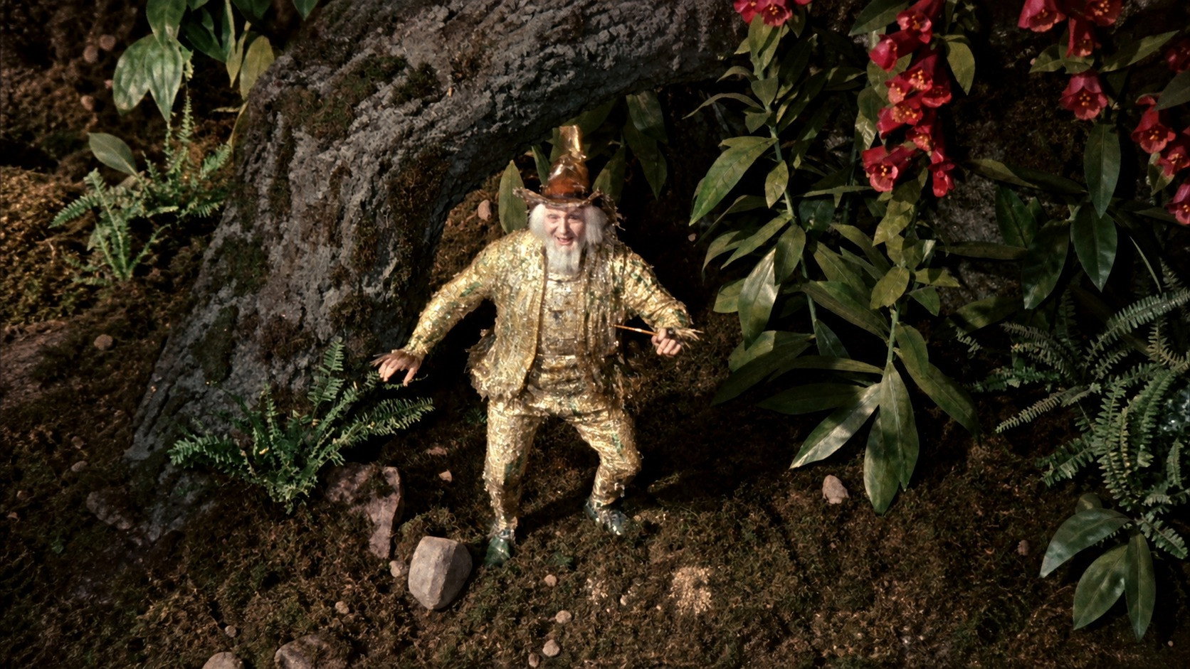 Tales from the Black Forest