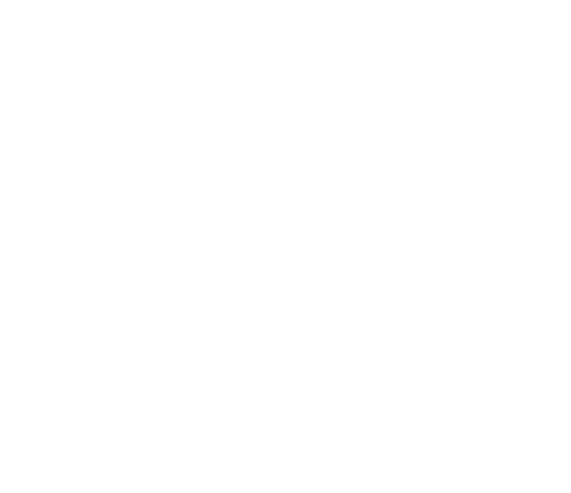 Xiao Lin Logo