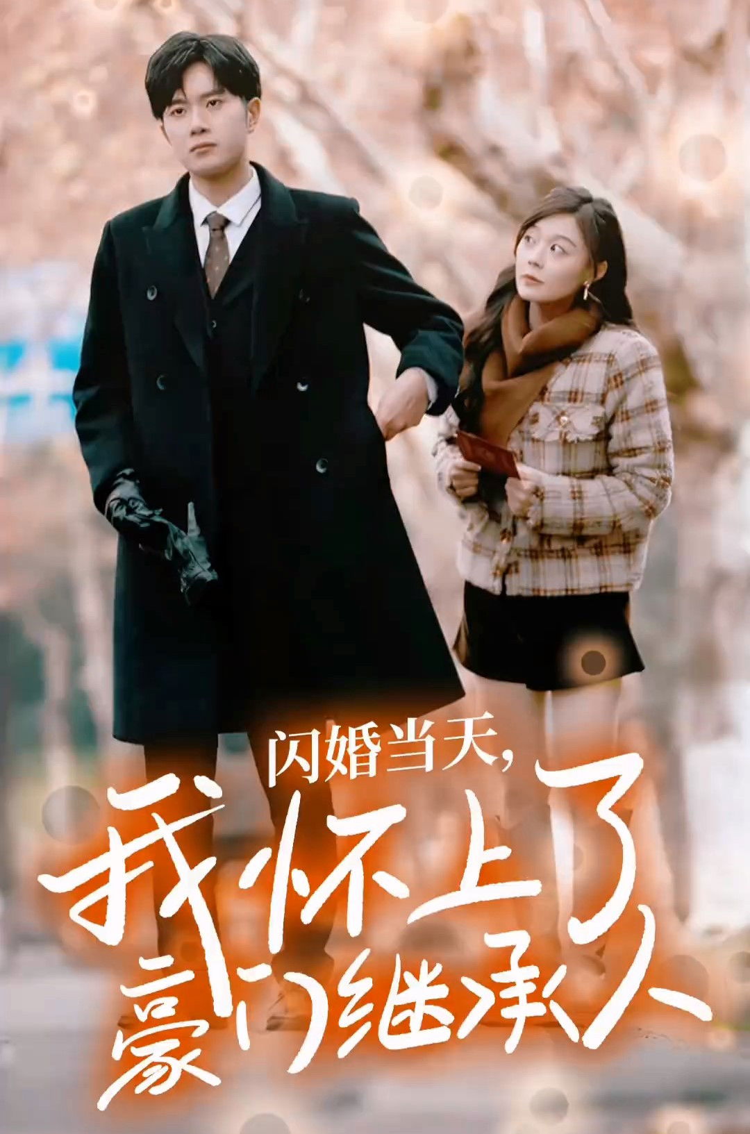 闪婚当天，我怀上了豪门继承人