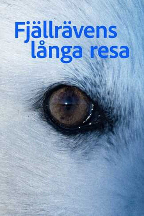 poster tv Fjällrävens långa resa