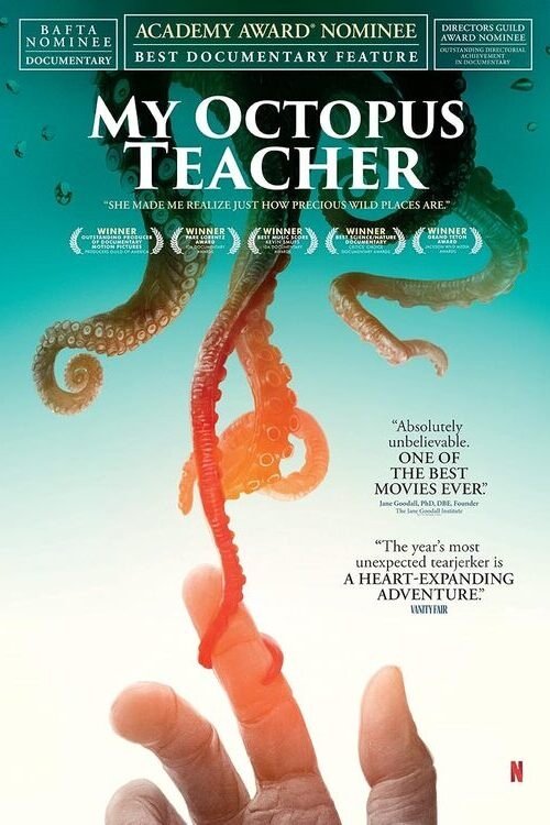 My Octopus Teacher