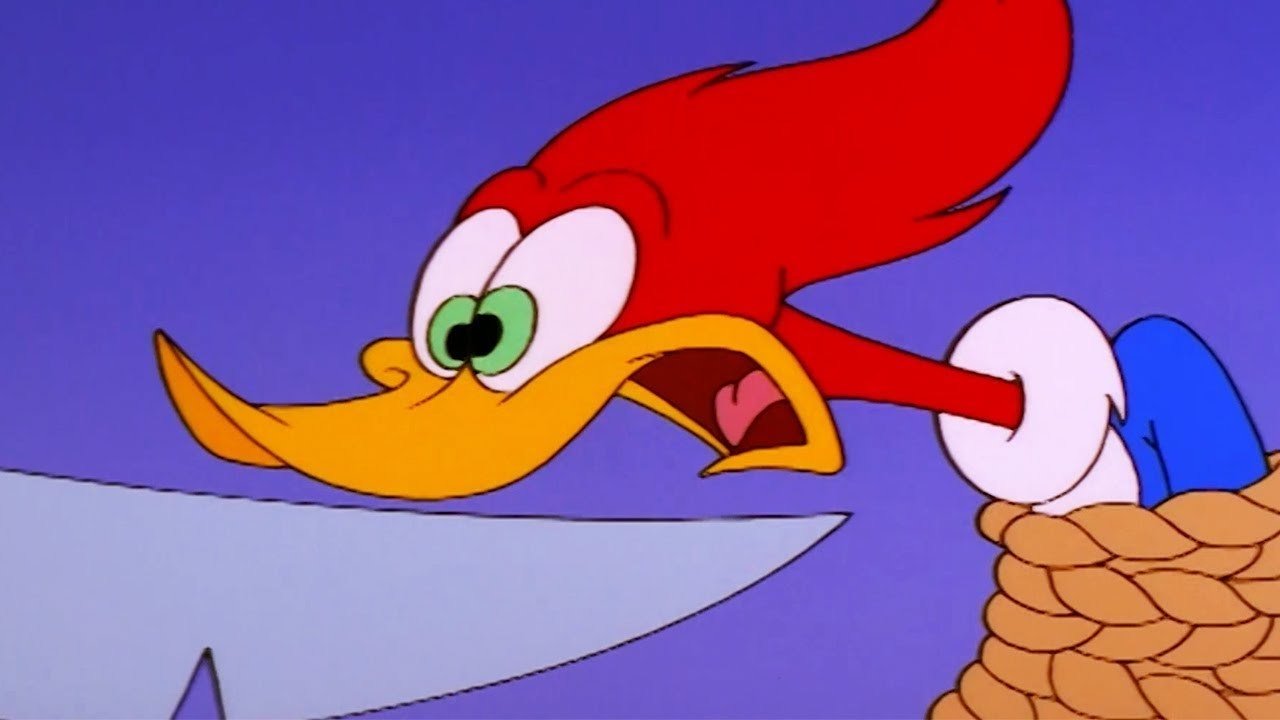 The New Woody Woodpecker Show