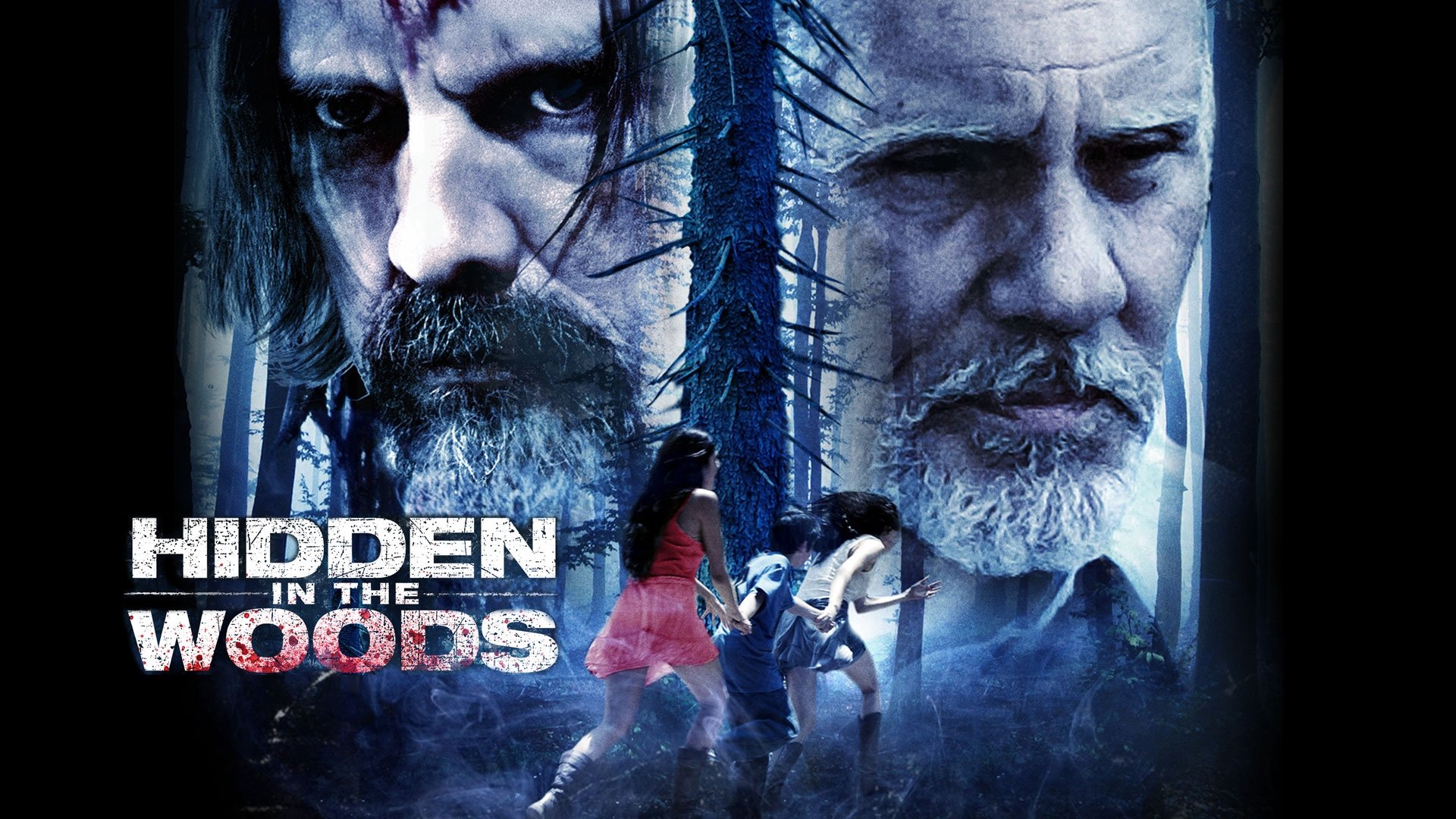 Hidden in the Woods