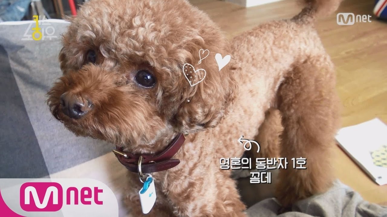 Thumbnail for SHINee Key Introduces His Lover: CommeDes & Garçons Season 1 Episode 5