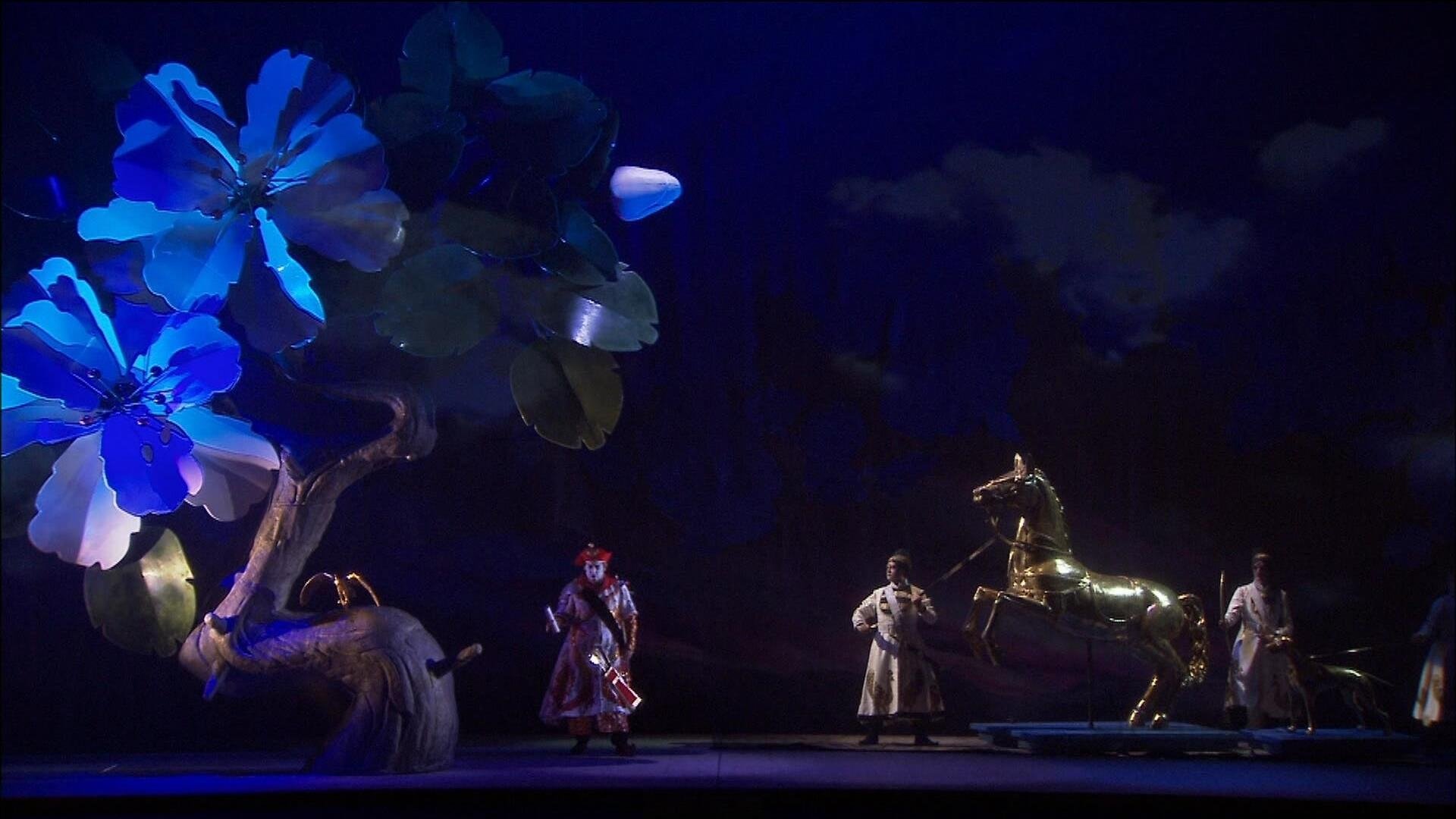 Die Frau ohne Schatten (2013)