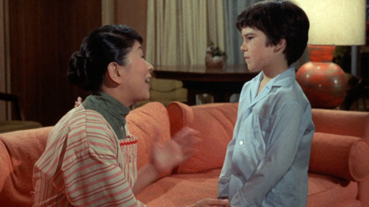 The Courtship of Eddie's Father