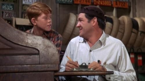 The Andy Griffith Show