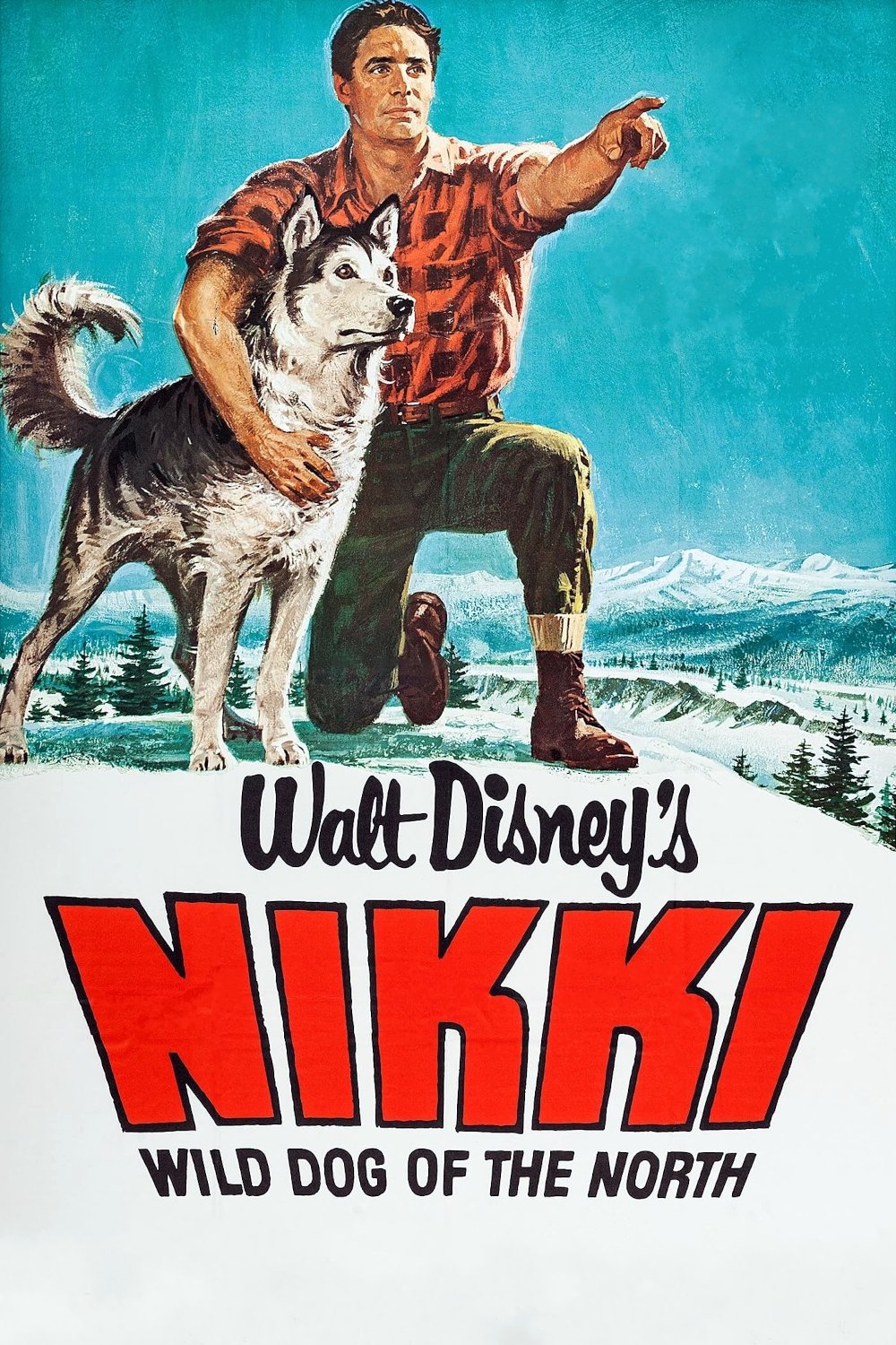 Nikki, Wild Dog of the North