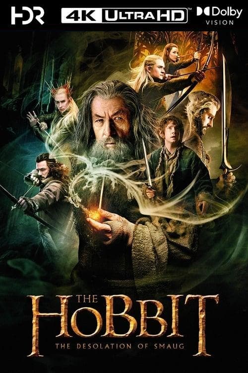 The Hobbit: The Desolation of Smaug