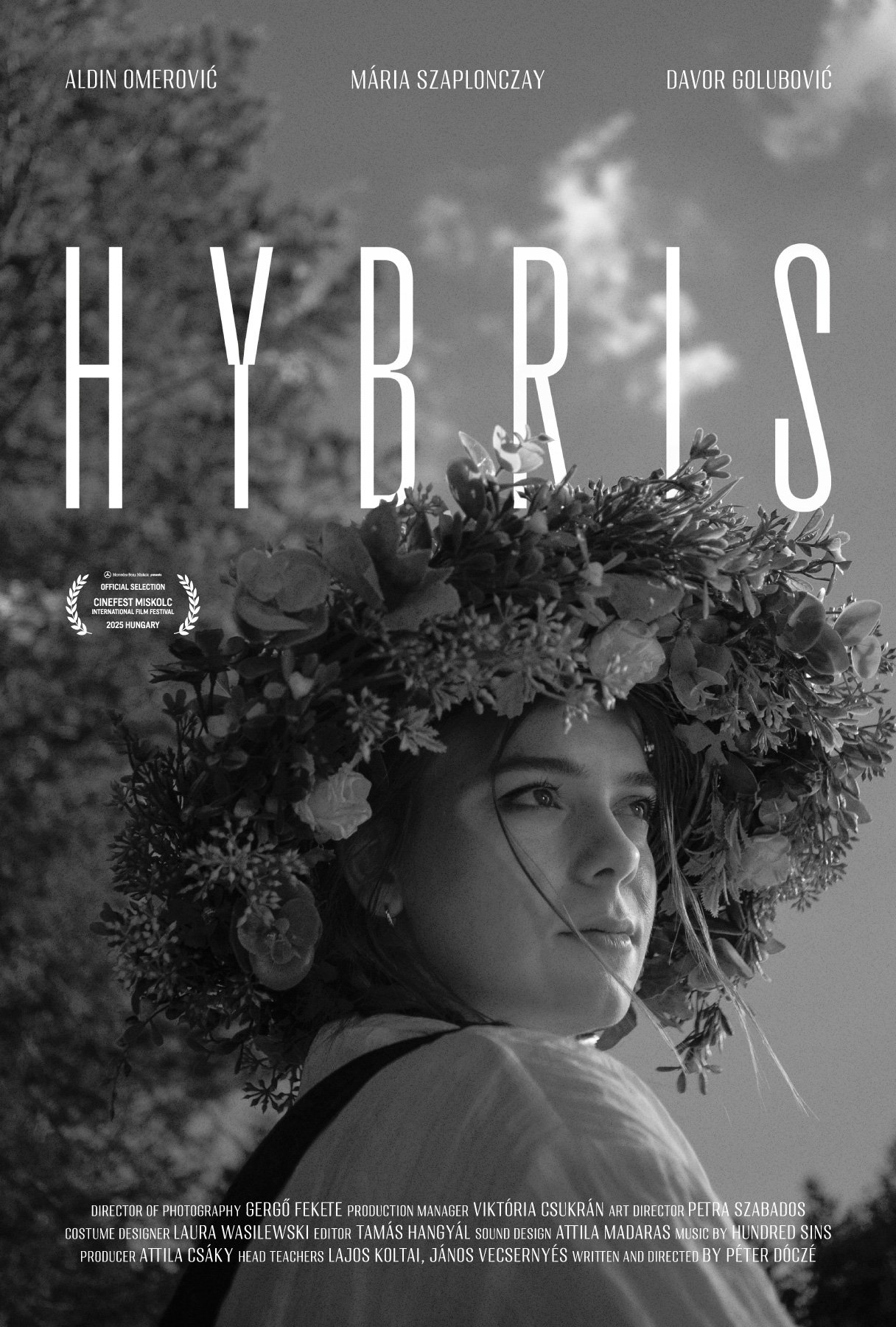 Hybris Hybris