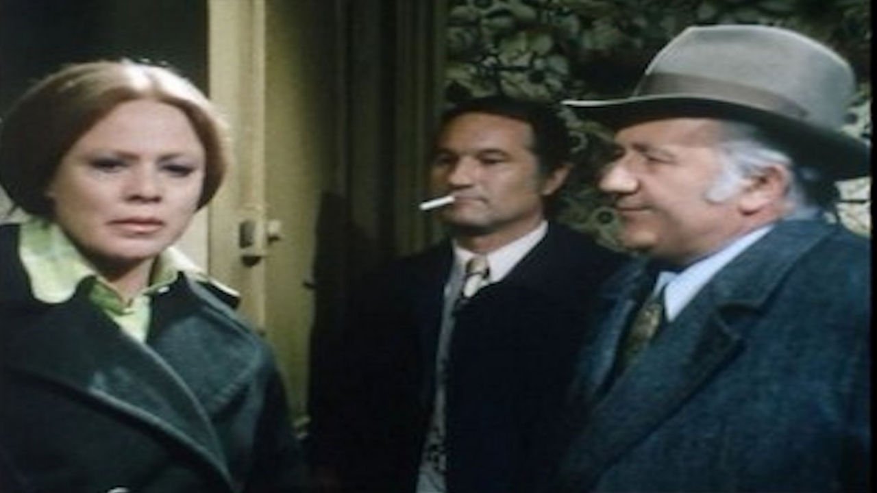 Les Enquêtes du commissaire Maigret - La Folle de Maigret
