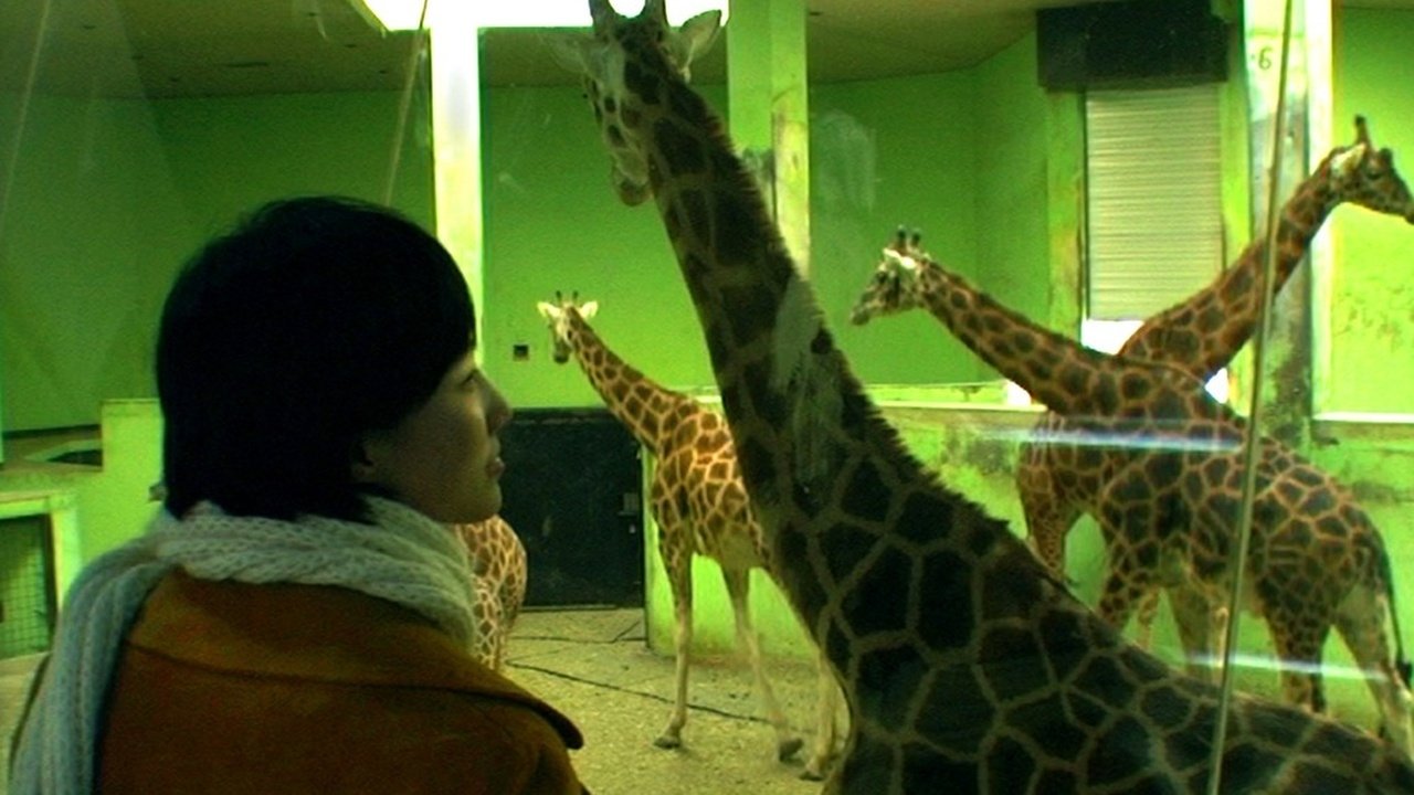 Invisible Light (2003)