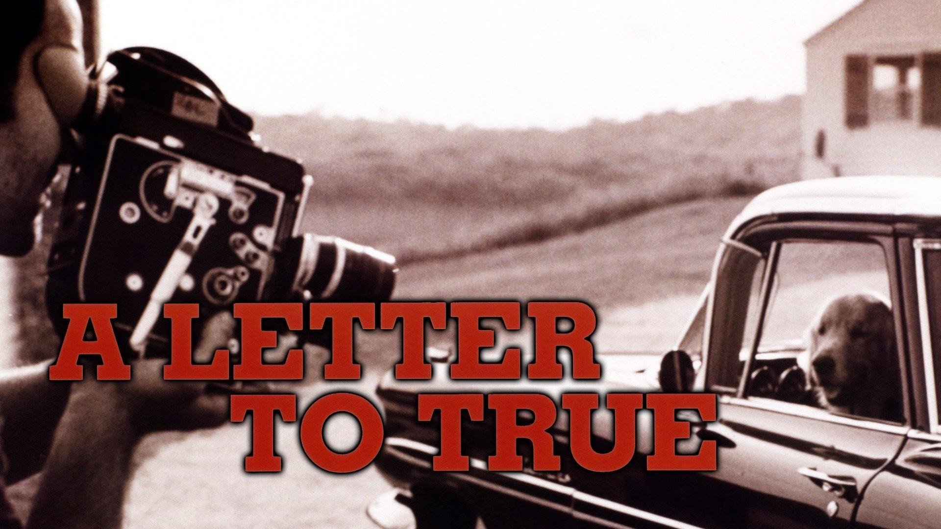 A Letter to True (2004)