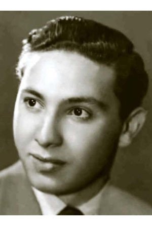 et billede af Adel Khairy