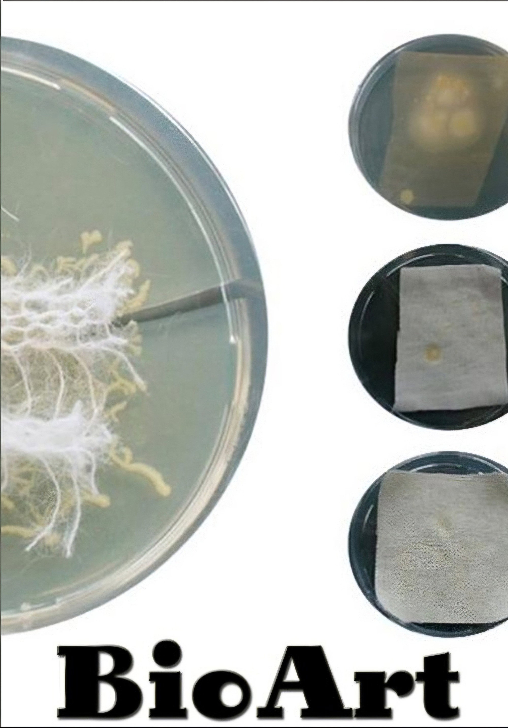 Bioart Art From The Laboratory 2011 Posters The Movie Database