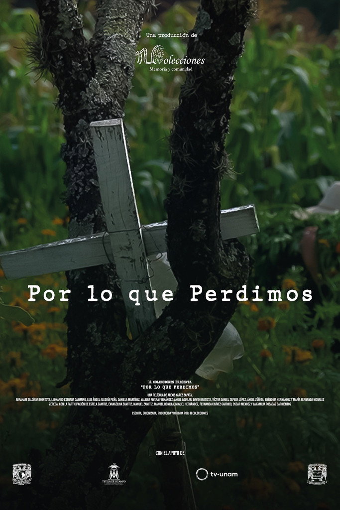 Por lo que Perdimos