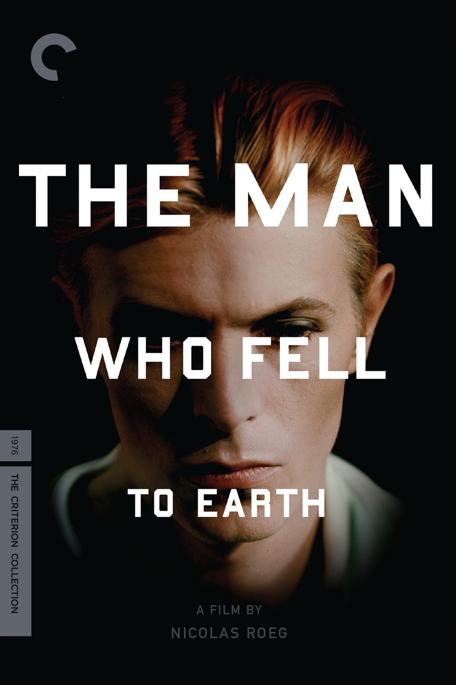 The Man Who Fell to Earth