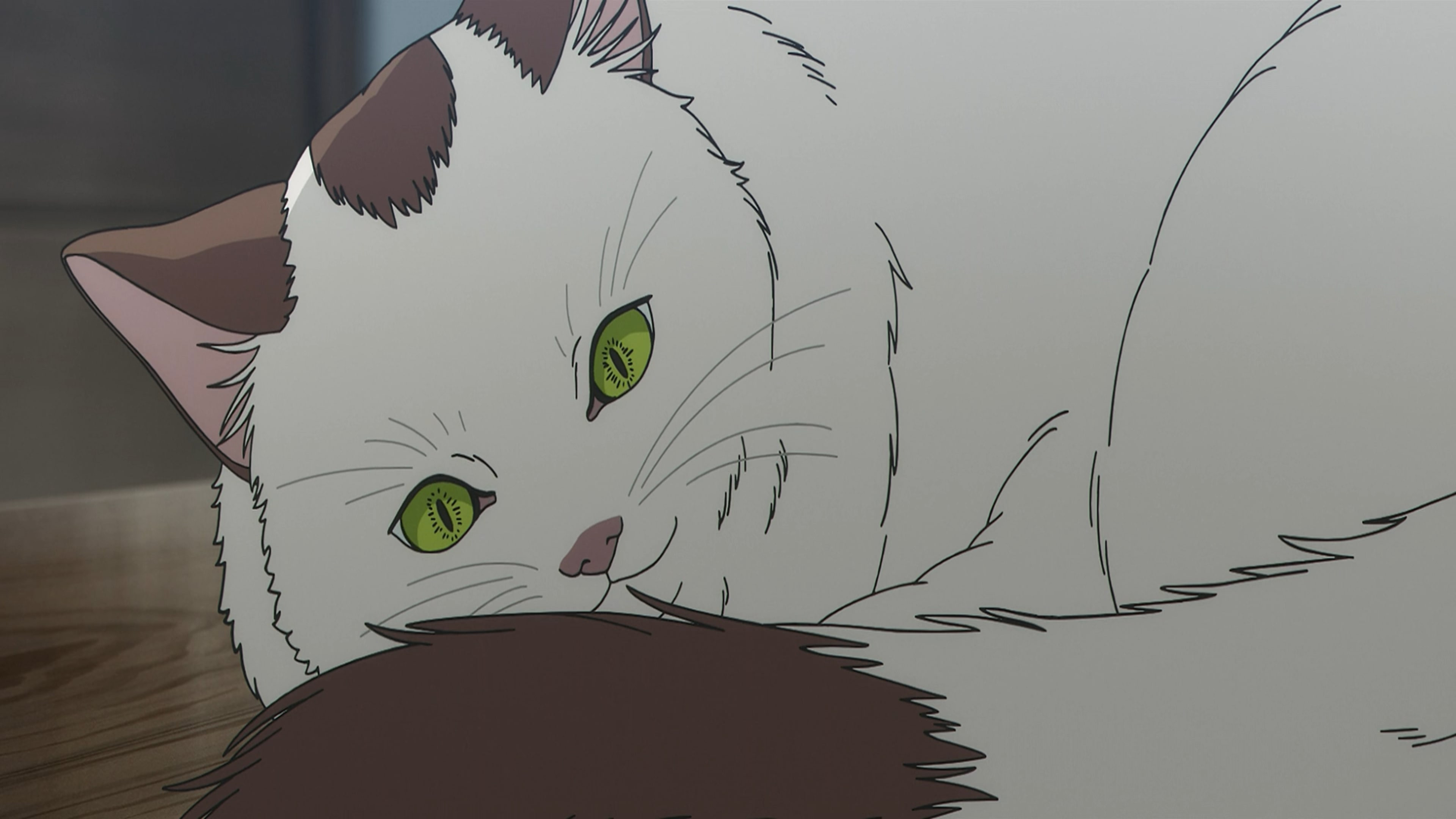 Chainsaw Man - The Movie: Reze Arc backdrop