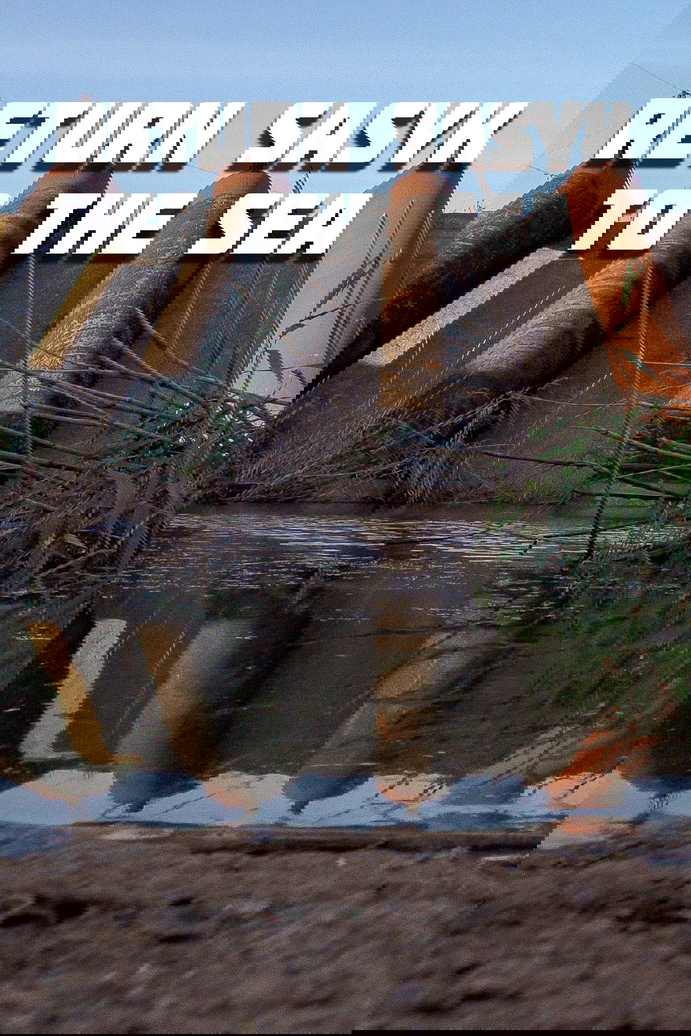 Return Sasyk to the Sea