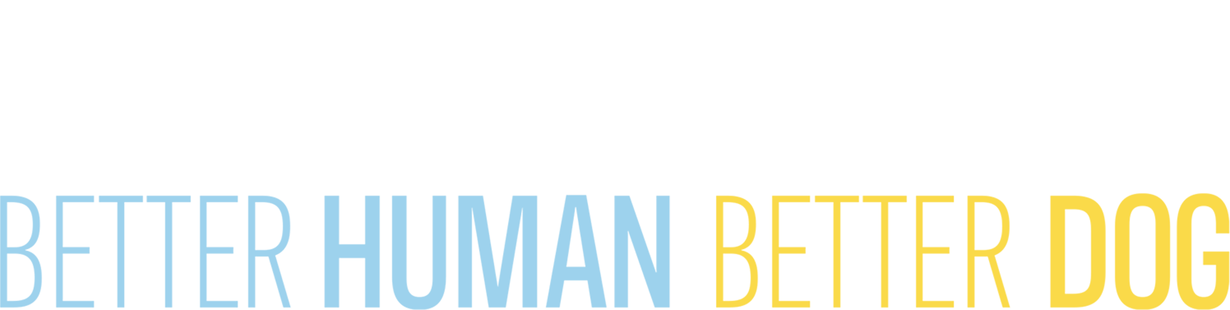 Cesar Millan: Better Human, Better Dog