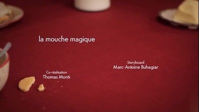 Minuscule - La mouche magique