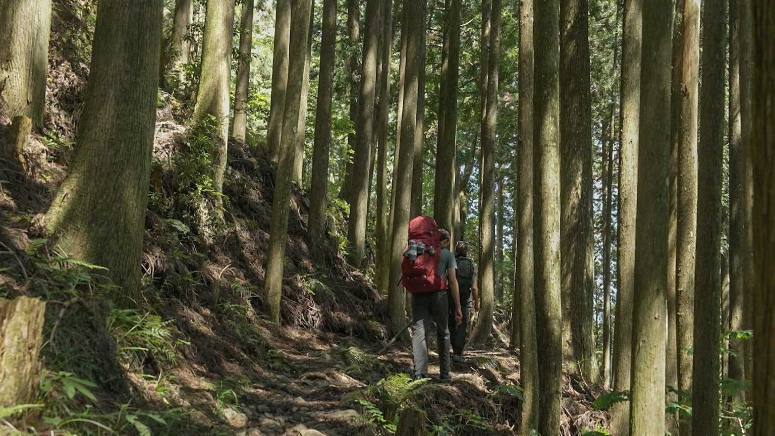 Episode 4