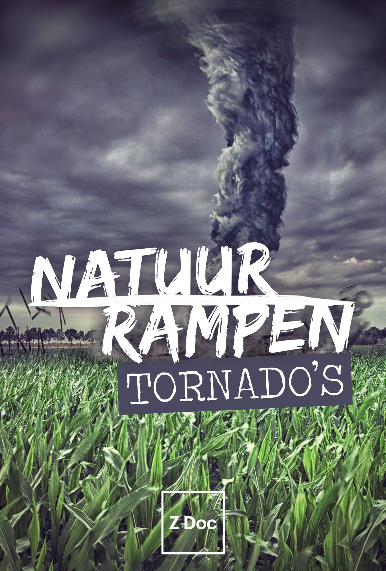 Natuurrampen: Tornado's Poster