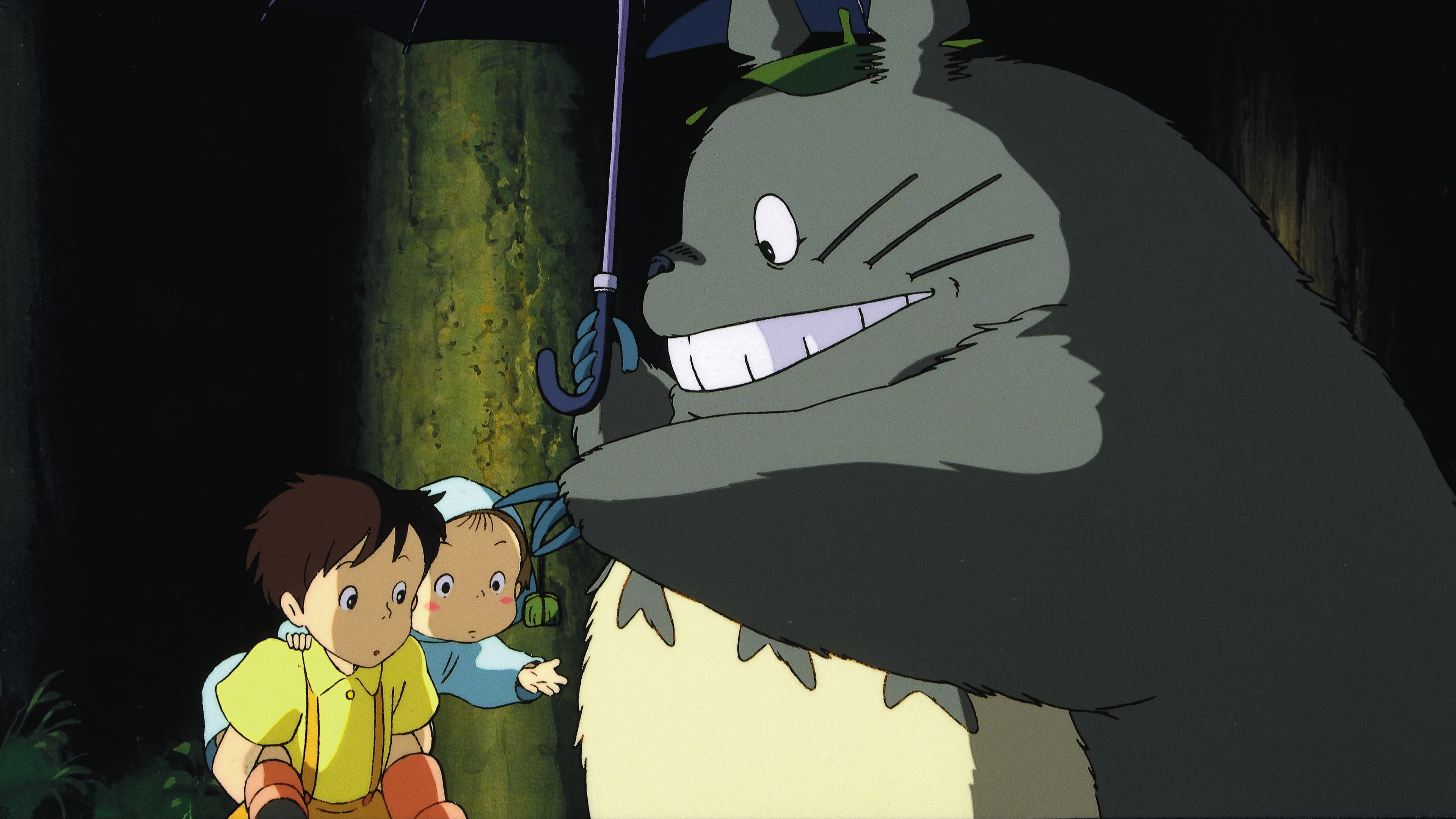 Image du film Mon voisin Totoro 5azjlq8rbaho0n69gdjdudfrcmcjpg