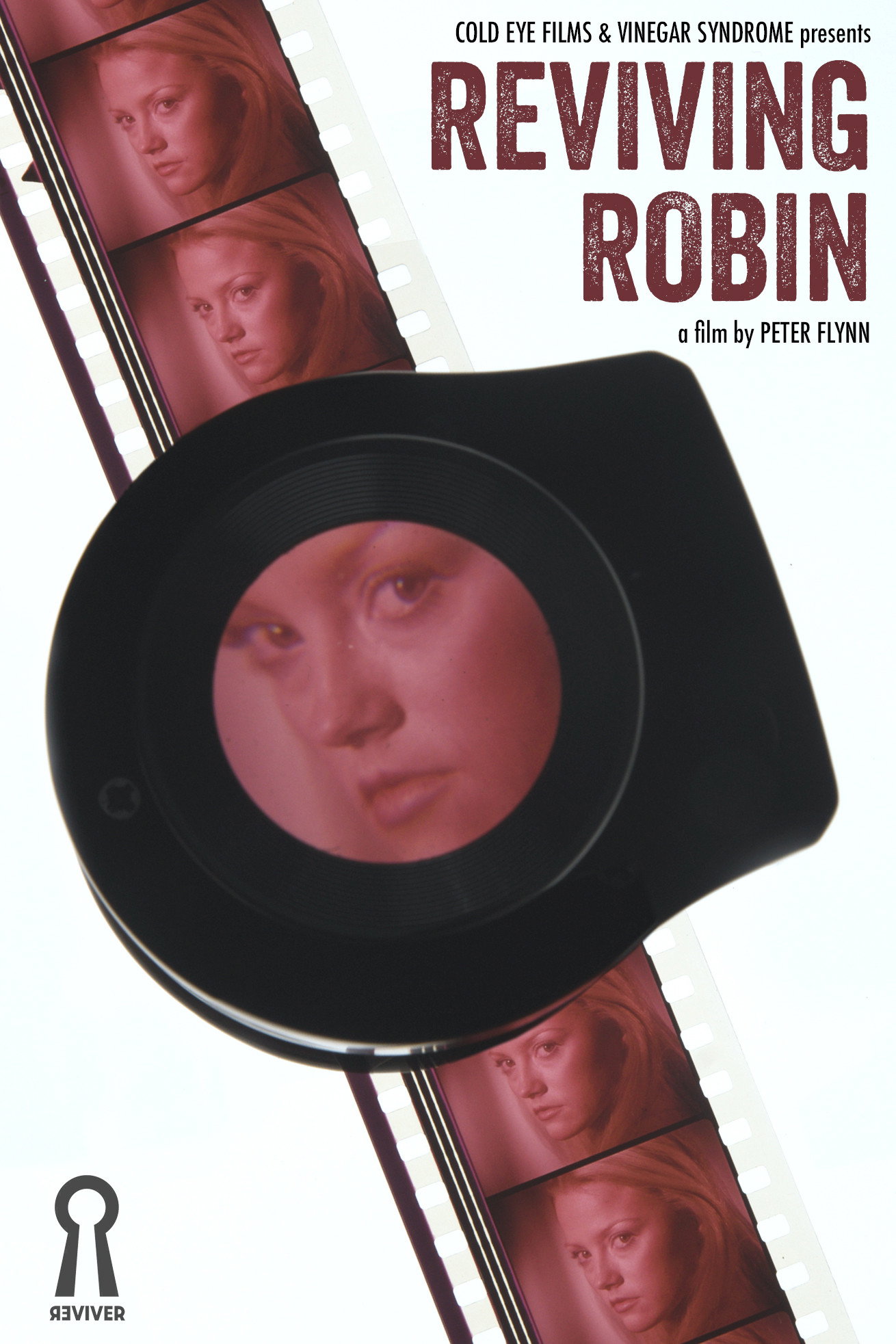 Reviving Robin Poster