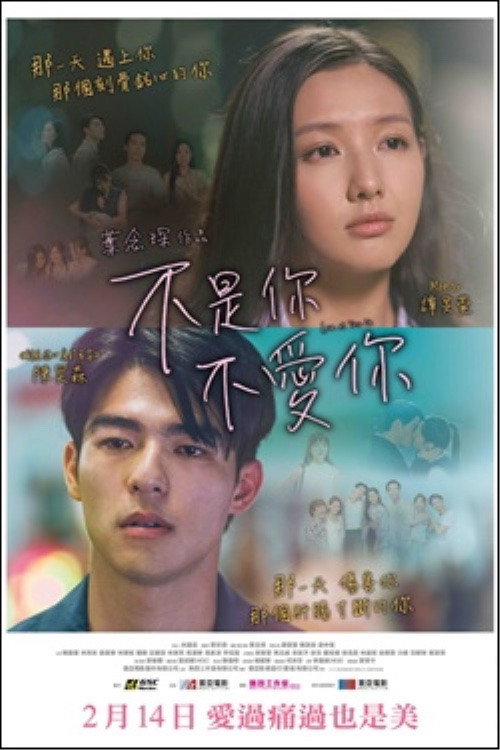不是你不爱你海报