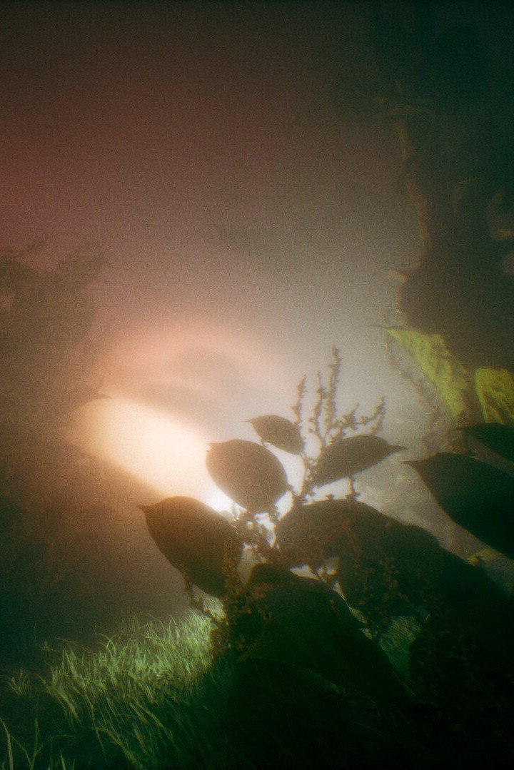 Poster for Benign Land