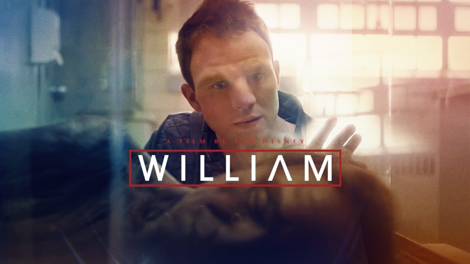 William (2019)